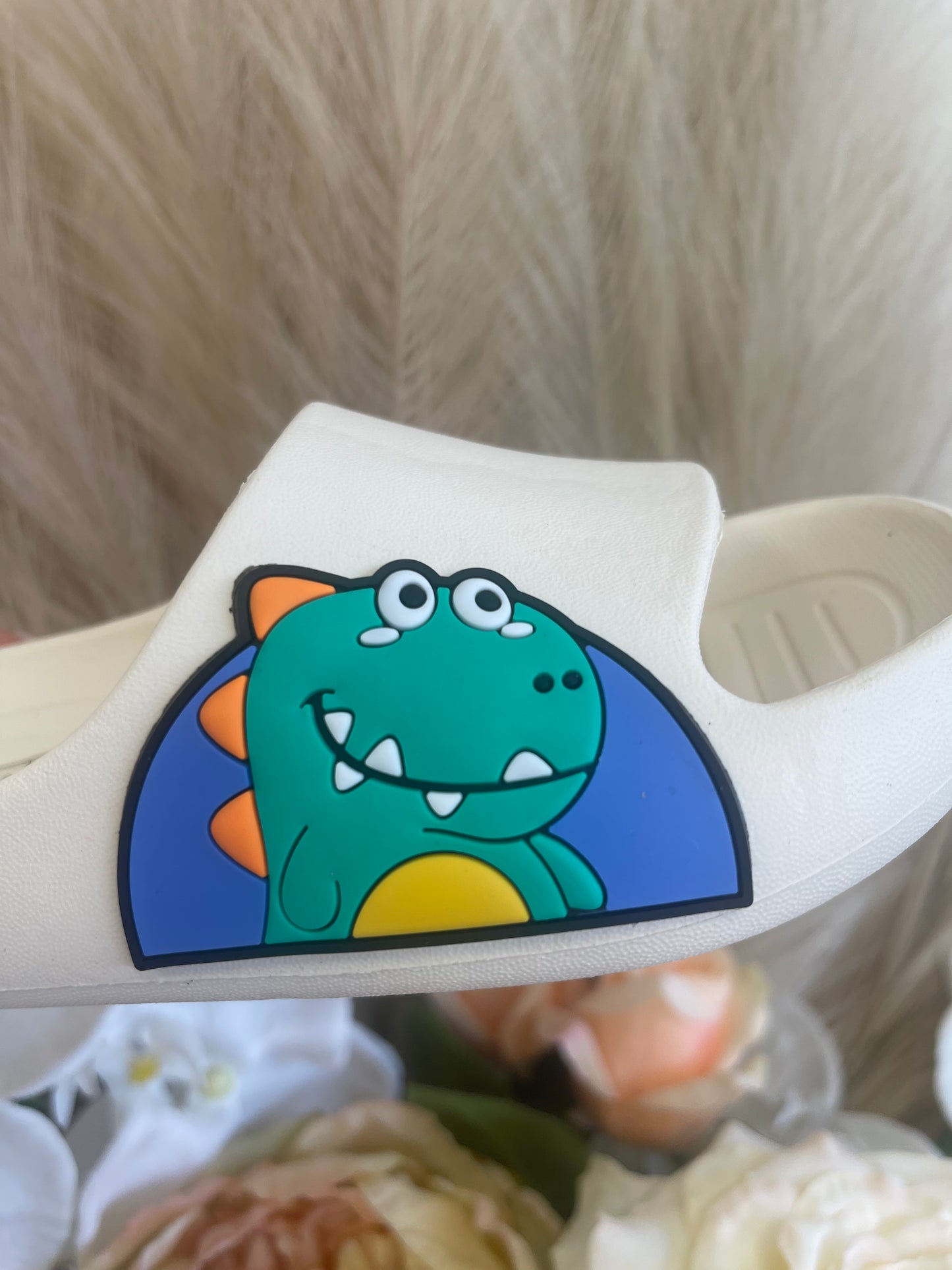 Boys sliders DINOSAUR