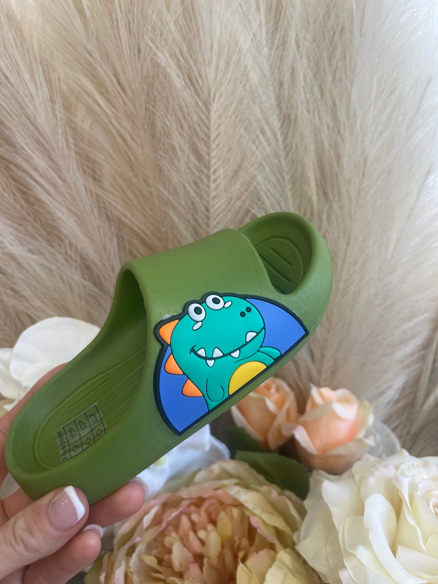 Boys sliders DINOSAUR