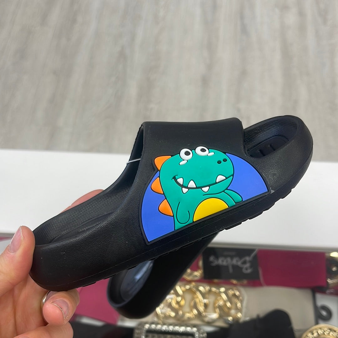 Boys sliders DINOSAUR